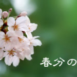 【弥生】ていねいに暮らす-3月「春分の日」先人の知恵とご先祖様に感謝の気持ちを！