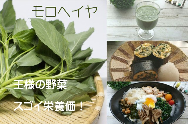 ネバネバ野菜 モロヘイヤ の効果効能 栄養アップの食べ合わせ冷凍保存レシピ6選 Tomoikuロハス生活で丁寧な暮らしを